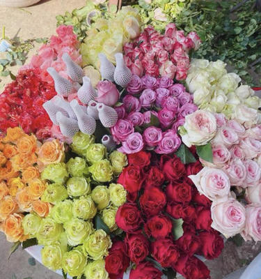 揭开“厄尔多瓜黑玫瑰”的真相 染色玫瑰的营销骗局